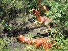 PICTURES/Dinosaur World Florida/t_IMG_6009.jpg
